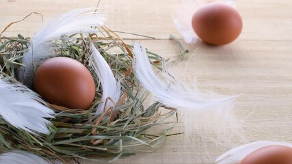 Wall Mural - Easter symbol. Natural colour eggs in basket with spring tulips, white feathers on wooden table background in Happy Easter decoration. Congratulatory easter flat lay design
