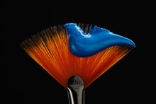 Fan Shaped Paintbrush With Paint In Blue Color At The Tip. Artistic Flat Fan Shaped Paintbrush Against A Black Background Closeup.