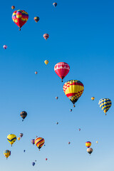 Wall Mural - hot air balloons