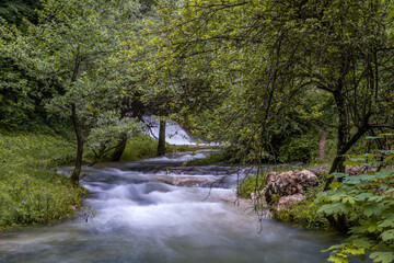 river in the woods