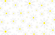 © Valentina A - beautiful illustration of daisies on a white background