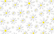 © Valentina A - beautiful illustration of daisies on a white background