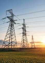Wall Mural - high voltage lines and power pylons in a green agricultural field against a saturated sunset sky