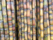 sugar cane stalks