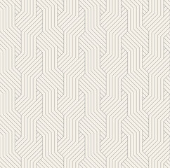Vector seamless pattern. Modern stylish texture. Repeating geometric background. Striped monochrome thin grid. Linear graphic design. Can be used as swatch for illustrator.