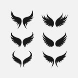 Fototapeta Dinusie - Wings icon logo set vector. Wing logo collection on white background