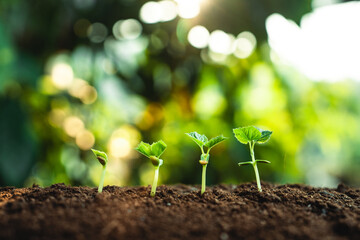 Sticker - Growth tree young plant Natural green background.