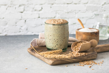 The rye leaven for bread is active. Starter sourdough ( fermented mixture of water and flour to use as leaven for bread baking). The concept of a healthy diet