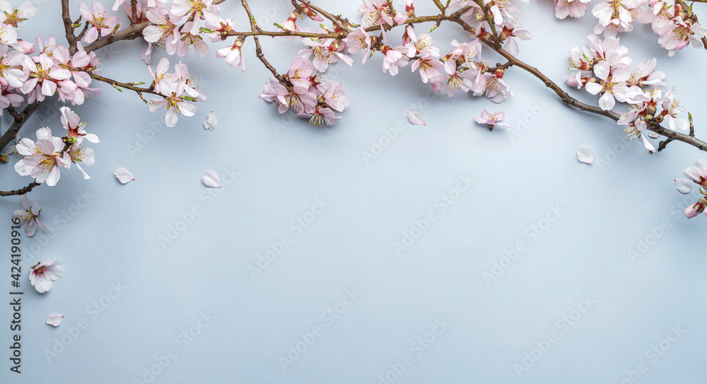 Flowering Spring, sakura blossoming branches on light blue background with bokeh, light. Happy Easter holiday, top view, banner - obrazy, fototapety, plakaty 