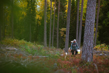 Senior Woman In Autumn Forest