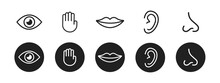 Five Senses Vector Icons Set. Vision, Hearing, Touch, Taste, Smell