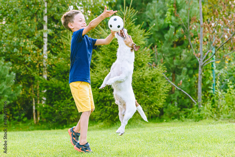 Kid boy exercise his dog outside with small football ball - obrazy, fototapety, plakaty 