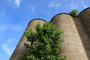 grain elevators Buffalo New York