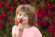 © Volodymyr - Healthy kids food Happy child boy eat strawberries. Adorable kid eating strawberry.