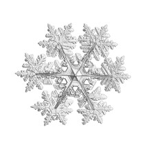 Snowflake Isolated On White Background. Macro Photo Of Real Snow Crystal: Elegant Stellar Dendrite With Hexagonal Symmetry, Glossy 3d Surface, Complex Inner Details And Six Flat, Ornate Arms.