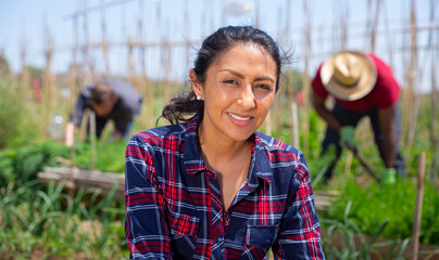 Canvas Print - Peruvian woman horticulturist sitting near greens and vegetables seedlings in garden outdoor