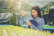 © Panumas - Farmer, Owner hydroponics vegetable farm in the greenhouse, testing nutrition lab for organic vegetables.