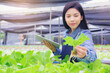 © Panumas - Smart farmer, Owner hydroponics vegetable farm in the greenhouse use smart pad for checking quality of the organic vegetables. IOT Agriculture Concept