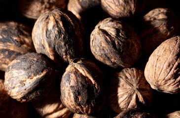 Fresh walnuts on drying as background.