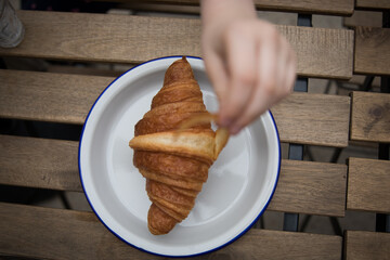 Wall Mural - Morning treat