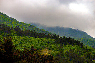  Fantastic landscape of mountain forest in clouds, fog or mist