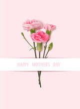 Happy Mothers Day Greeting Text. Holiday Design Template With Realistic Pink Carnation Flowers On Pink Background. Vector Stock Illustration.