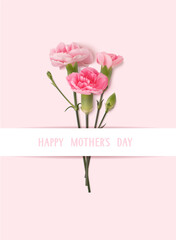 Happy Mothers day greeting text. Holiday design template with realistic pink carnation flowers on pink background. Vector stock illustration.