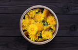Fototapeta  - Dandelion in a wooden bowl on a dark wooden background. Fresh dandelion flowers picked in the garden for tea or making essences. For cooking, medical and cosmetology