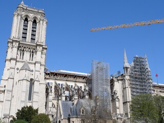 Wall Mural - The yellow crane of Notre Dame in action the 31st march 2021, during the reconstruction of the cathedral. Paris, France.