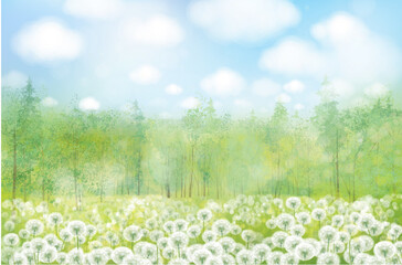 Wall Mural - vector white dandelions meadow. spring nature background.
