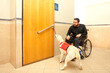 Man in wheelchair with the assistance of a trained dog at the bathroom of a supermarket