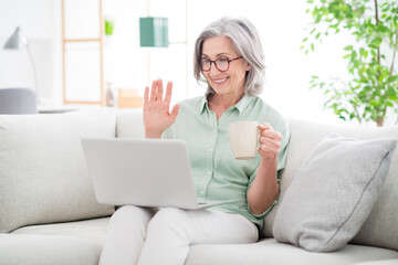 Sticker - Portrait of positive friendly woman sit on sofa hold tea cup palm wave look laptop speak weekend indoors