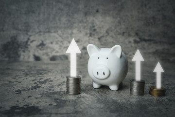 Stack of coins and piggy bank take photo in studio with concrete background. Concept and idea of wealth by saving money for growth. Piggy look happy.