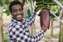 Young African Man Smiling In Camera At Banana Plantation