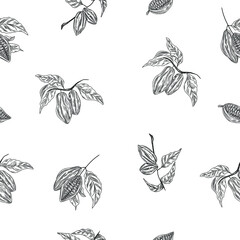 Cocoa tree branches on the seamless pattern, floral background