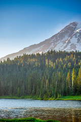 Sticker - Forest around Mount Rainier in summer season