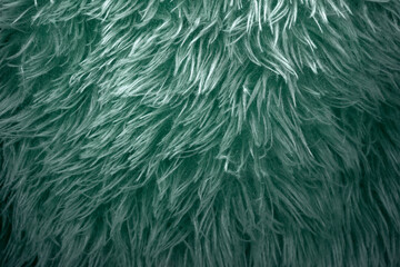 Azure green furry texture backdrop close up. Texture of wool skin. Abstract animal navy blue fur background. Fluffy pattern for design. Fabric copy space colored background