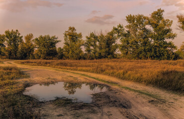 Wall Mural -  Sunny summer evening over the hollow

