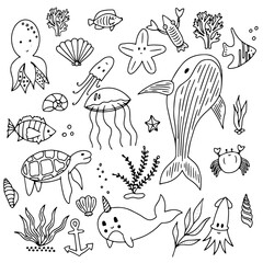 Sea set doodle elements in trendy Simple style. Hand drawn trendy illustration Marine nautical set of elements drawn outline. Vector hand drawing. Doodle Plants, mammals, fish, marine life, shells