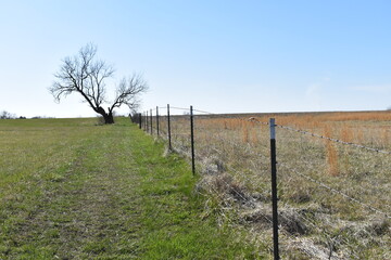 Sticker - Fence Row