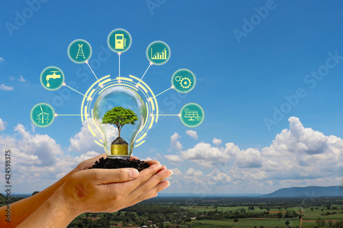 The tree growing in the human hand energy saving light bulb and energy saving icon concept of energy saving and eco friendly energy consumption.