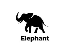 Elephant Silhouette Logo Icon Vector Illustration