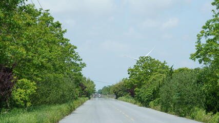 The road view surrouded by the green plant in the park