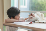 Fototapeta Koty - Happy Asian child playing with pet cat while doing homework