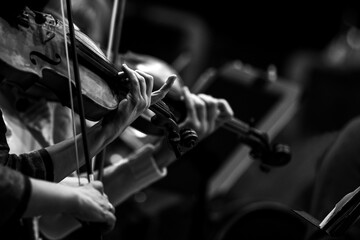 Poster - Violinists' hands in a symphony orchestra in black and white