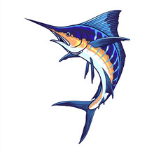 Realistic Sword Fish. Illustration