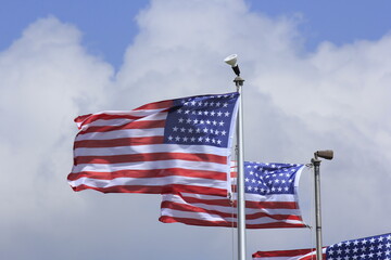 A closeup shot of US Flags flying in the wind on Memorial Day at a Cemetery in Hutchinson Kansas USA on a colorful day with blue sky and white clouds.