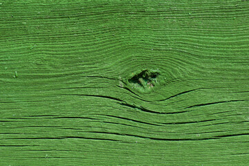 Texture of wood background closeup