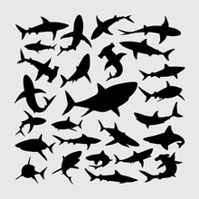 Shark Silhouette. A Set Of Shark Silhouettes