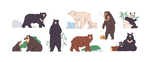 set of brown, polar, black, himalayan, malay, spectacled, honey, sloth bear and panda. animals in di